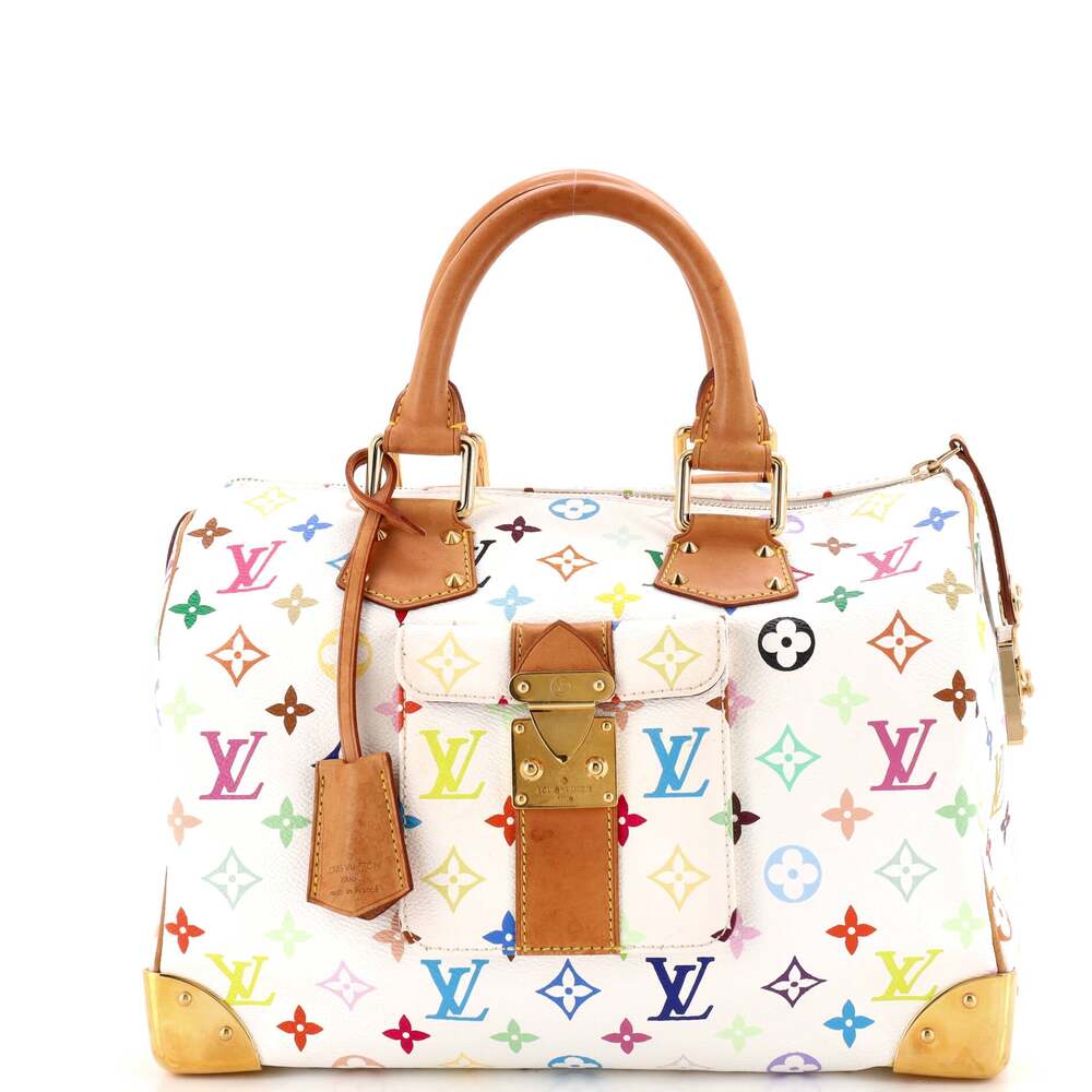 Louis Vuitton Speedy Handbag Multicolor #316684L22B